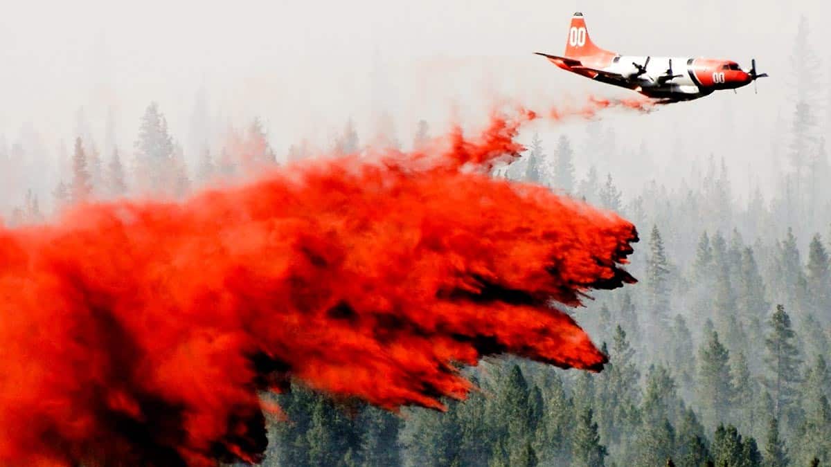 ضبط الأعصاب أثناء الصراعات