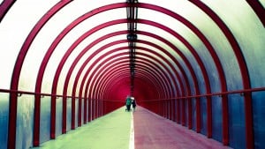 حدود استعمال وسائل التواصل الاجتماعي