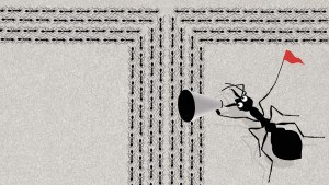 أهمية الحزم في الإرشاد