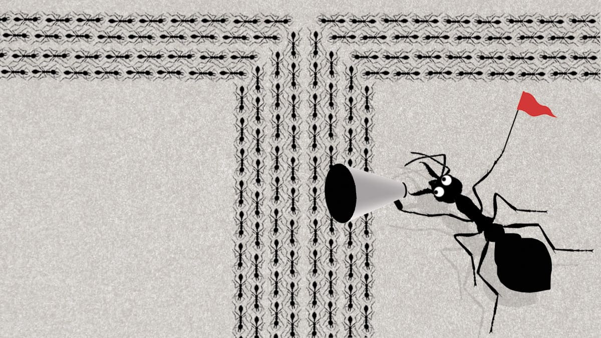 أهمية الحزم في الإرشاد