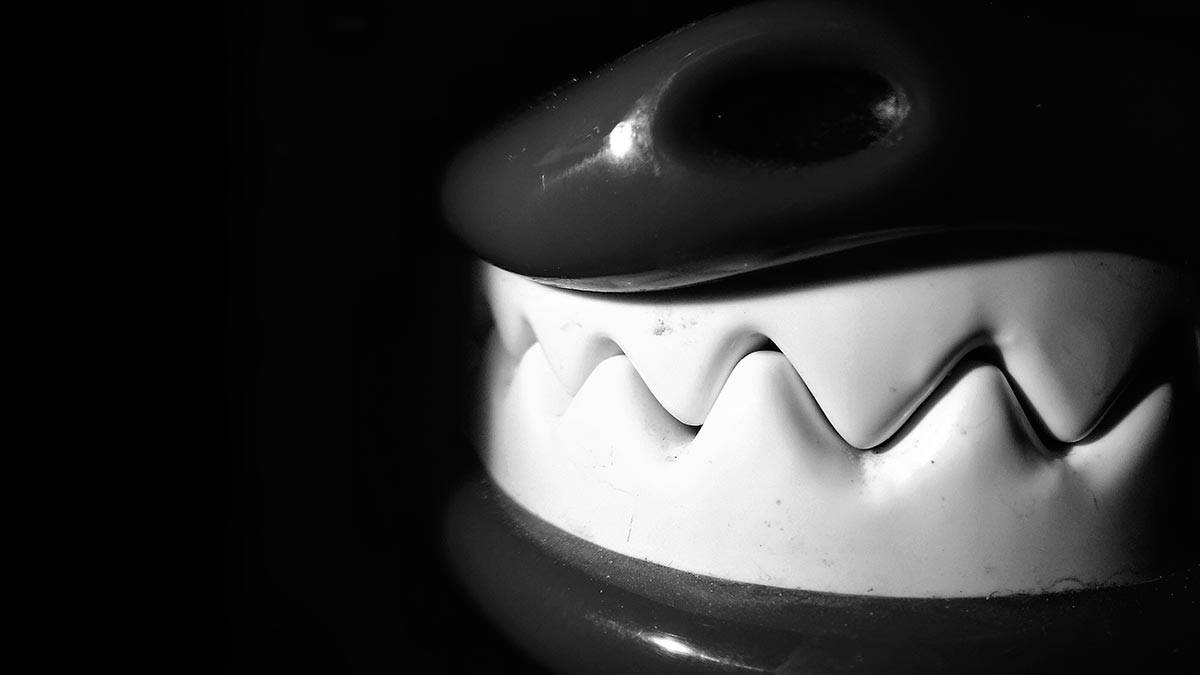 تقديم الرأي المهني