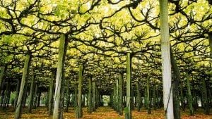 أهمية النمو في العمل والترقية