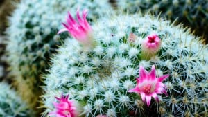 معايير اختيار مندوب المبيعات