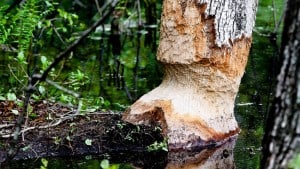 تحديد أهمية الاجتماع