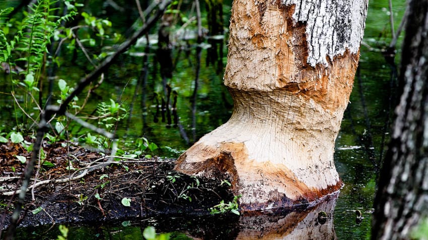 تحديد أهمية الاجتماع