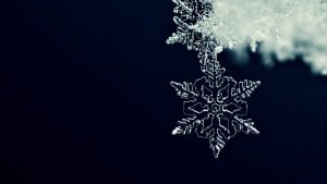 شبكة المعارف