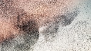 مدراء أكْفاء