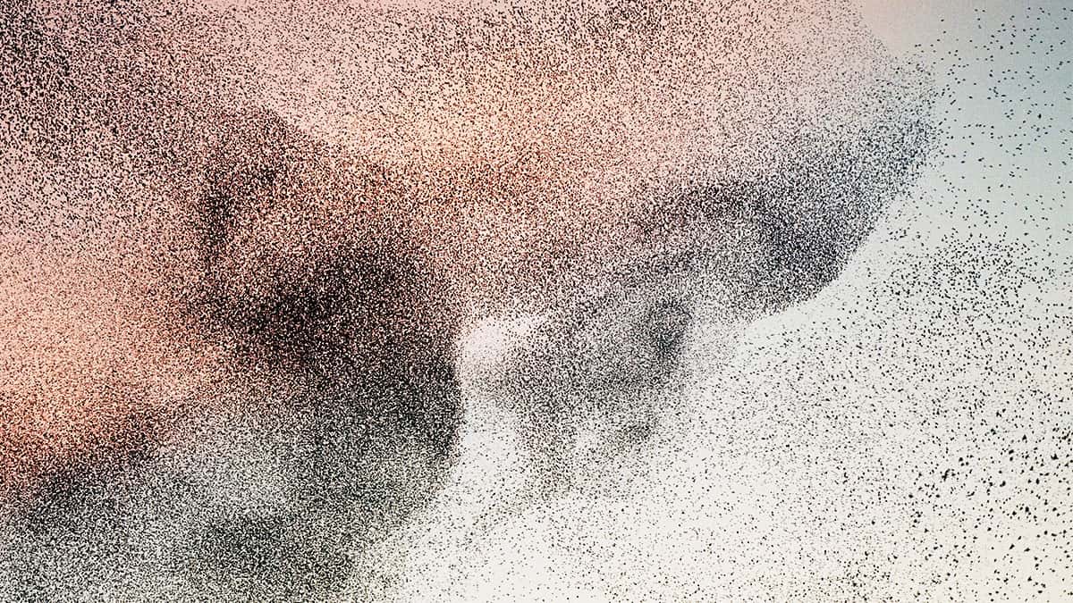 مدراء أكْفاء