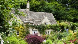 شروط العودة للعمل بعد التقاعد