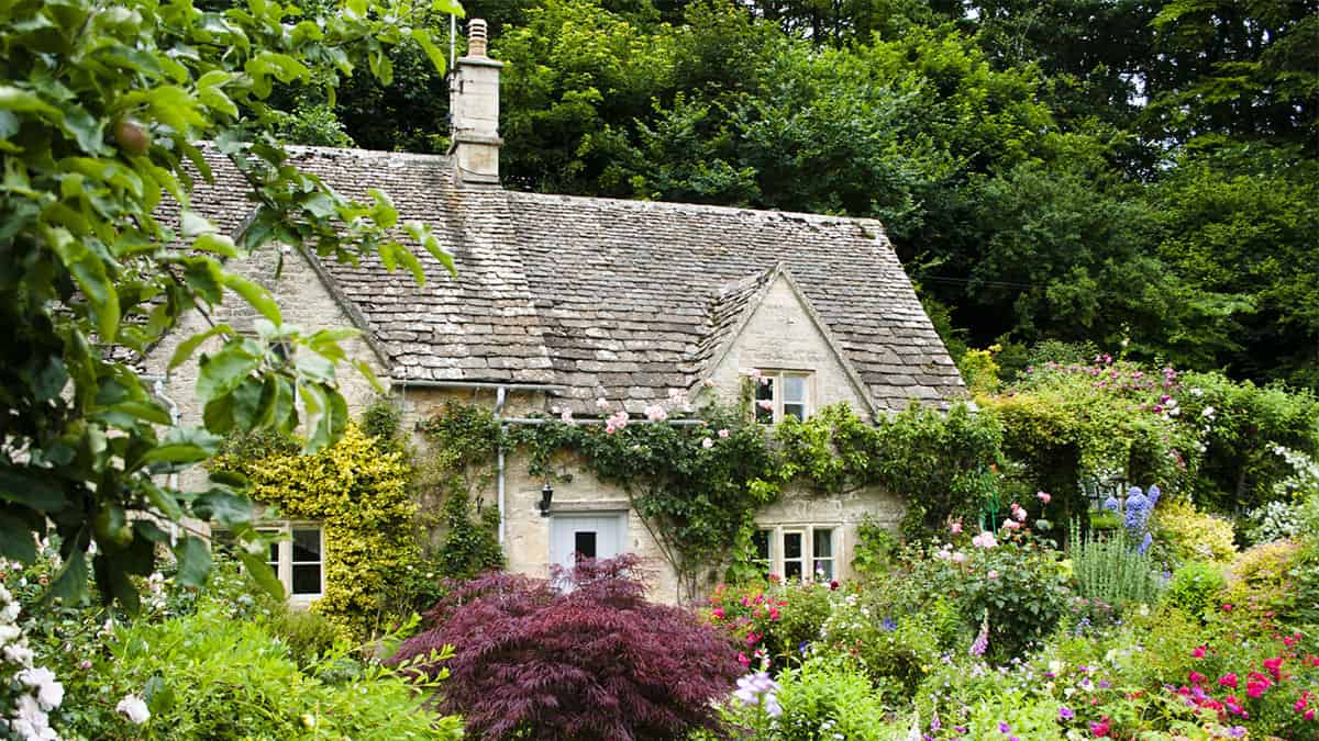 شروط العودة للعمل بعد التقاعد