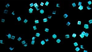 مشروع غوغل برين