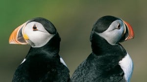 كيف تحفز موظفا لا تحبه