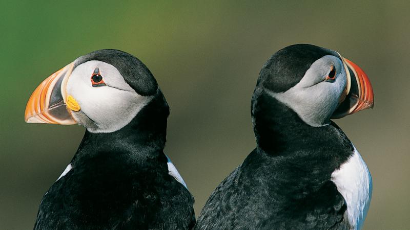 كيف تحفز موظفا لا تحبه