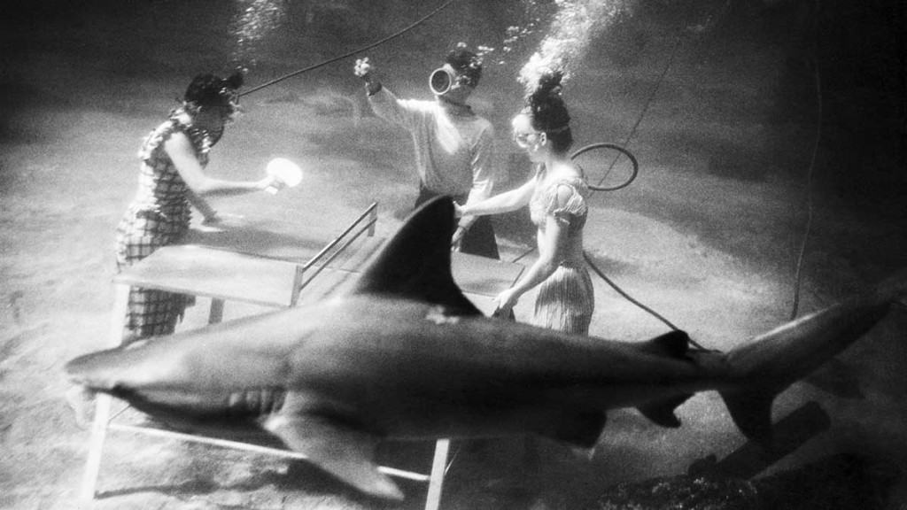 الاستجابة الافتراضية على التوتر