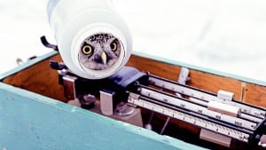 تحديد المقاييس التسويقية