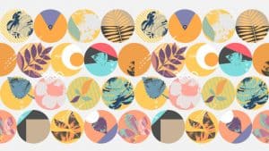 أفضل أنواع الشركات