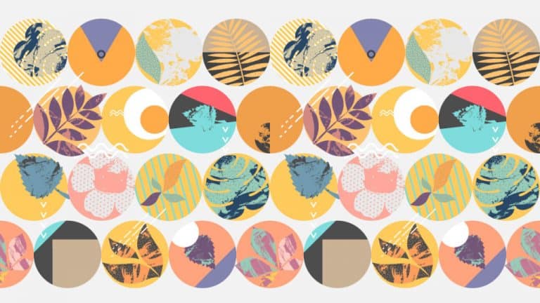 أفضل أنواع الشركات