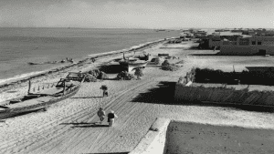 التنمية والعمران