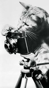 غياب دعم الزملاء