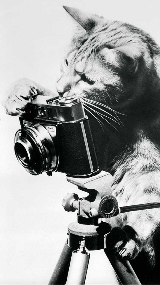 غياب دعم الزملاء