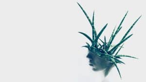 تطوير إبداع الفريق