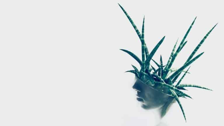 تطوير إبداع الفريق