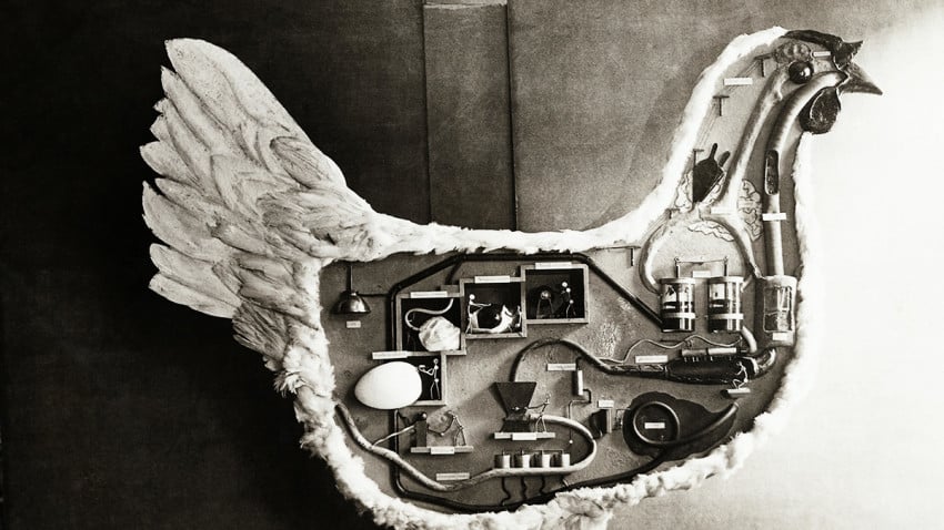 كيفية الترويج لفكرة