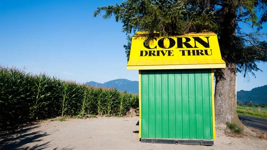 منافسة موقع أمازون أم عرض المنتجات على منصته