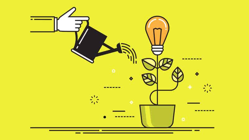 ما هو النظام البيئي لريادة الأعمال