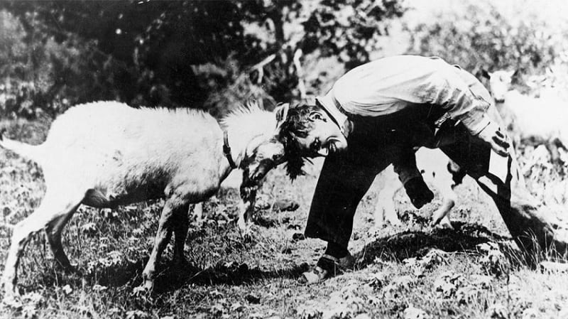 التعامل مع الخلافات بين الموظفين