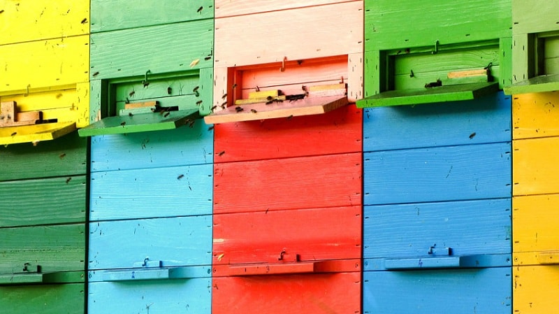 تطوير المواهب