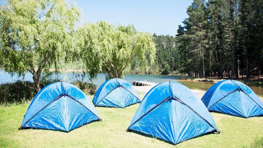 معتكفات الإدارة التنفيذية