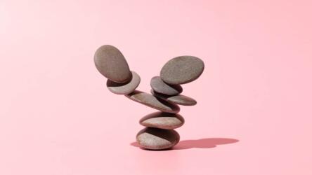 قاعدة الهرم الوظيفي