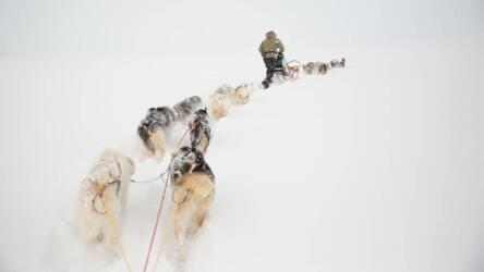 وضع غاية دائمة