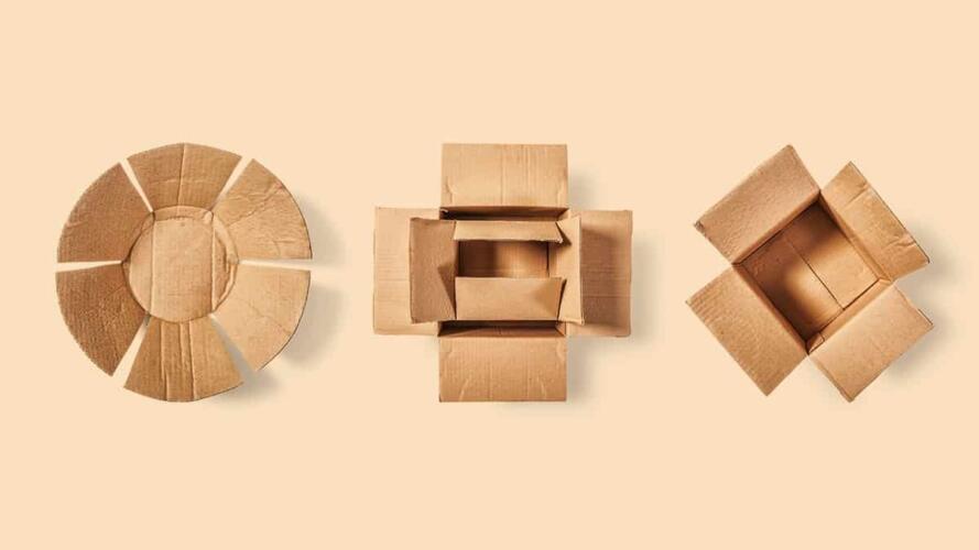 التركيز على الحياة