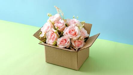 الاكتشاف غير المقصود