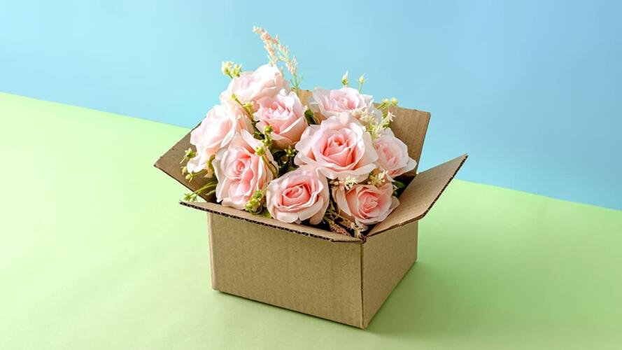 الاكتشاف غير المقصود