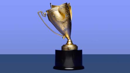 الشعور بالرضا