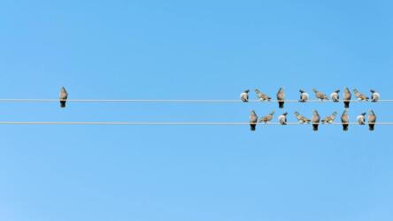 مرحلة إعادة الهيكلة