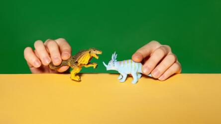 القادة الحازمون