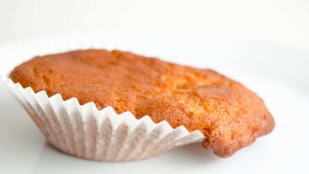 سيرة الفشل الذاتية