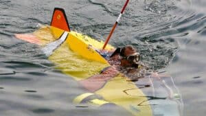 القلق من الفشل