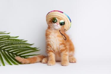 جذب انتباه الآخرين في العمل