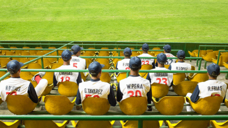 الإدارة التنفيذية العليا