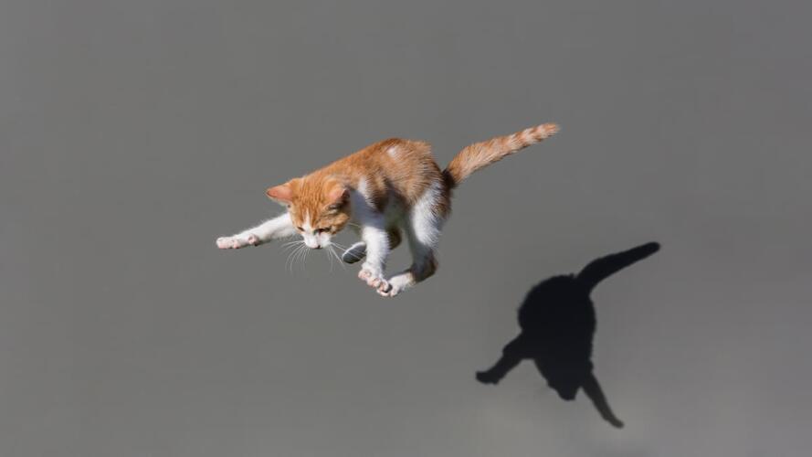 الأمان النفسي