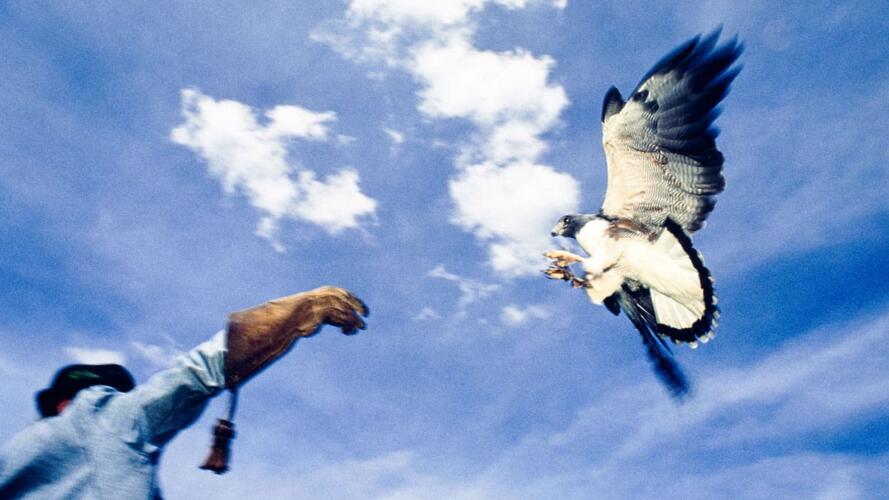 القائد الناجح