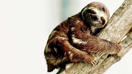 التأثير على سلوك الآخرين