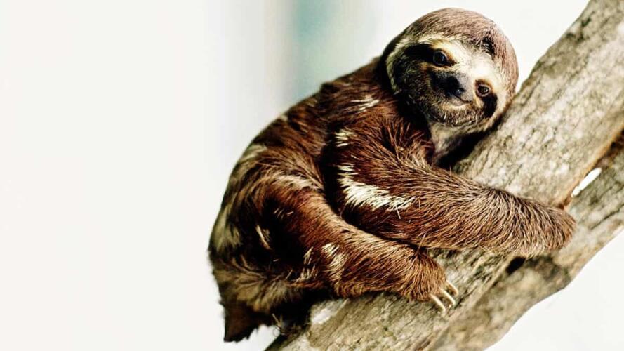 التأثير على سلوك الآخرين