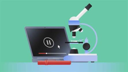 تحليل البيانات