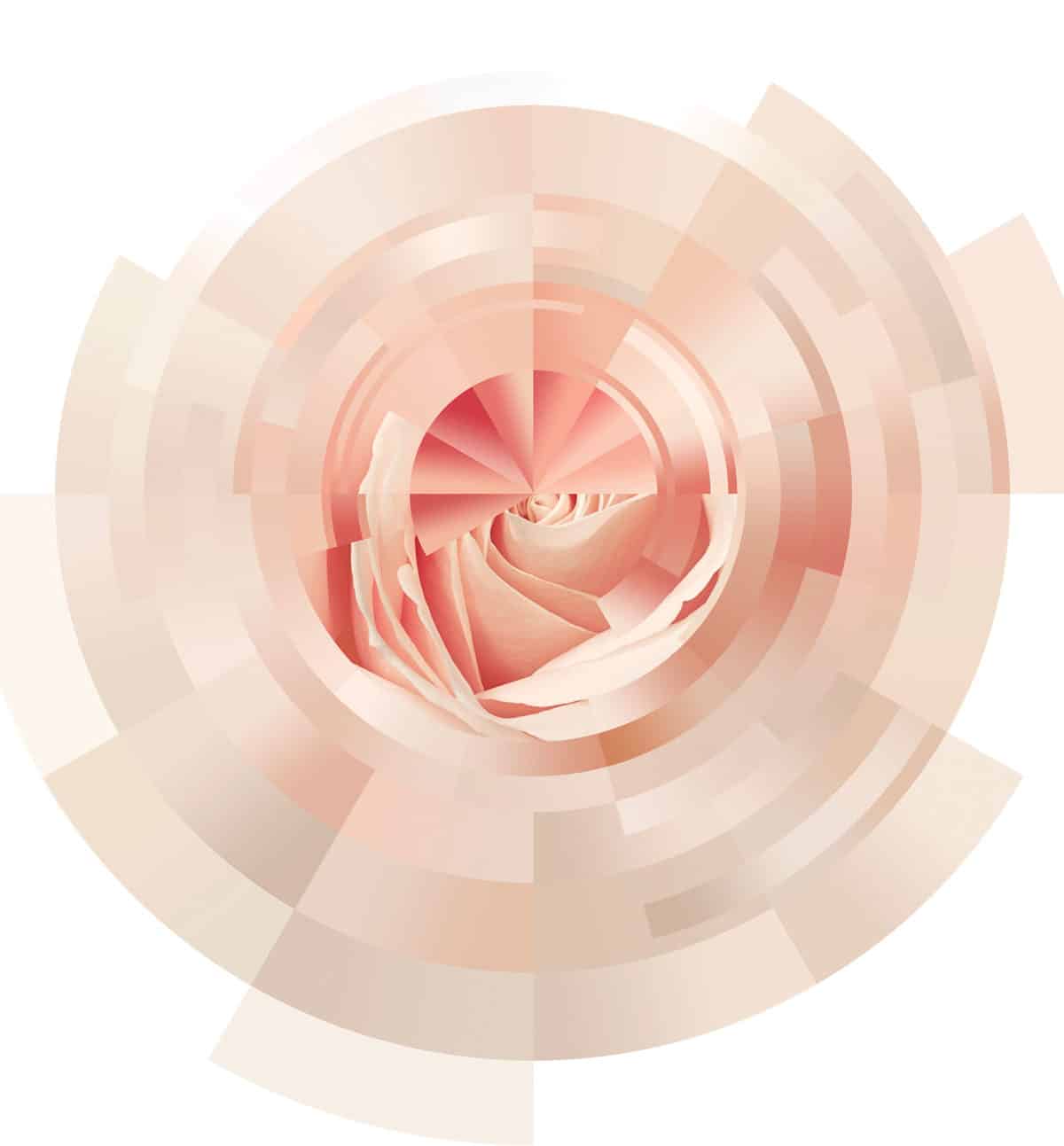 التحول الرقمي المدفوع بالإكتشاف